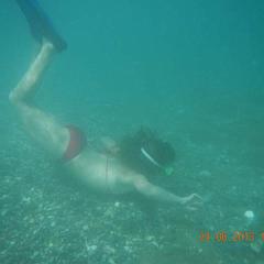 ���������� ����